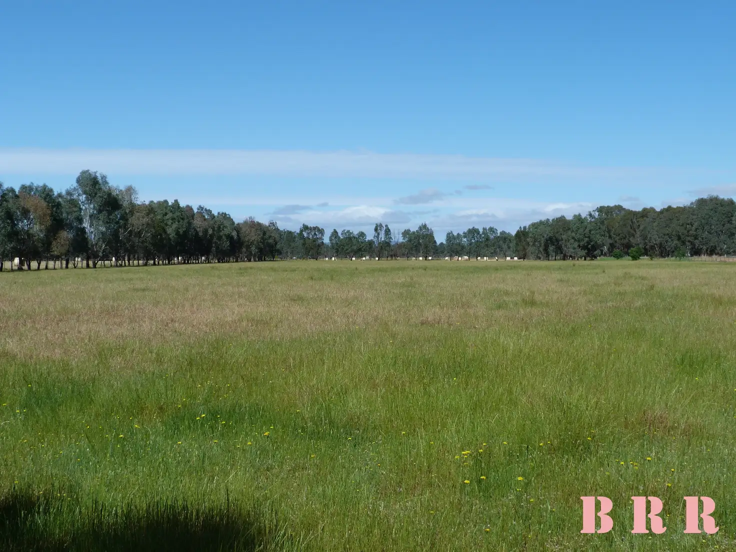 Main view of Homely rural property listing, Lot 1/353 Coach Rd, Benalla VIC 3672