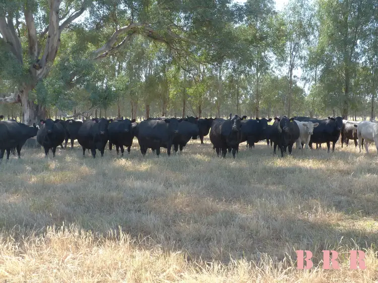 Third view of Homely rural property listing, Lot 1/353 Coach Rd, Benalla VIC 3672