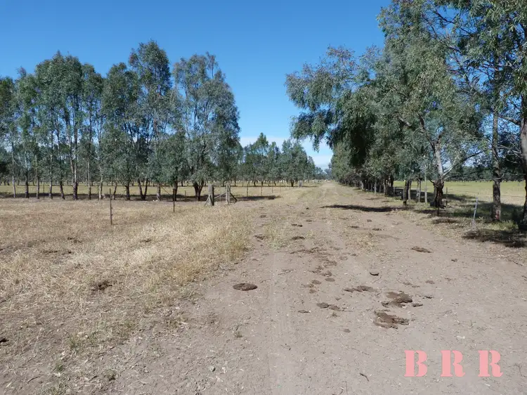 Seventh view of Homely rural property listing, Lot 1/353 Coach Rd, Benalla VIC 3672