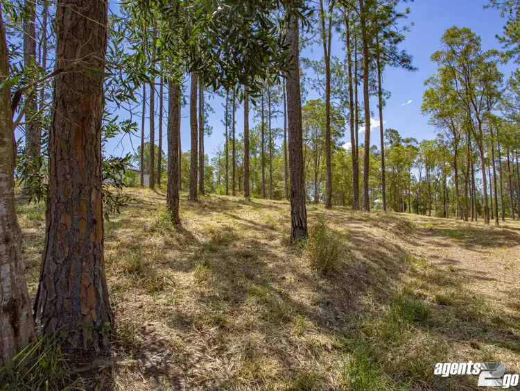 Fifth view of Homely land listing, Lot 177 Stevenson Rd, Glenwood QLD 4570
