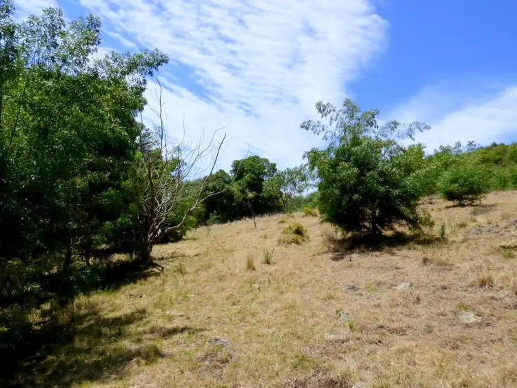 Fourth view of Homely rural property listing, 180 McGraths Rd, Lochiel NSW 2549
