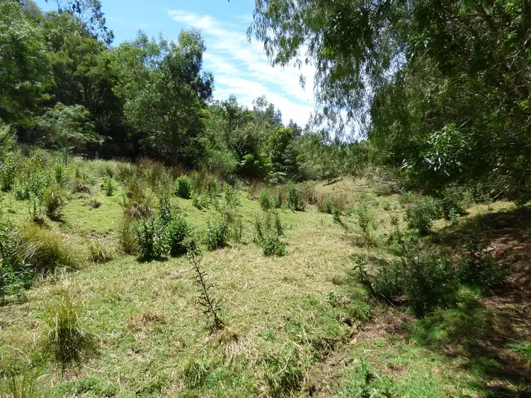 Seventh view of Homely rural property listing, 180 McGraths Rd, Lochiel NSW 2549