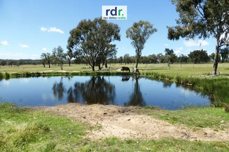 729 Wallangra Road, Inverell NSW 2360