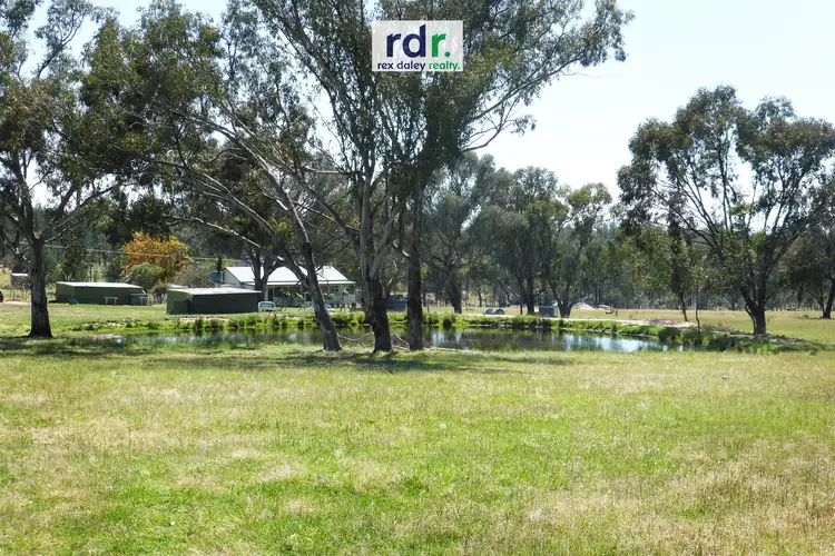 Second view of Homely rural property listing, 729 Wallangra Road, Inverell NSW 2360