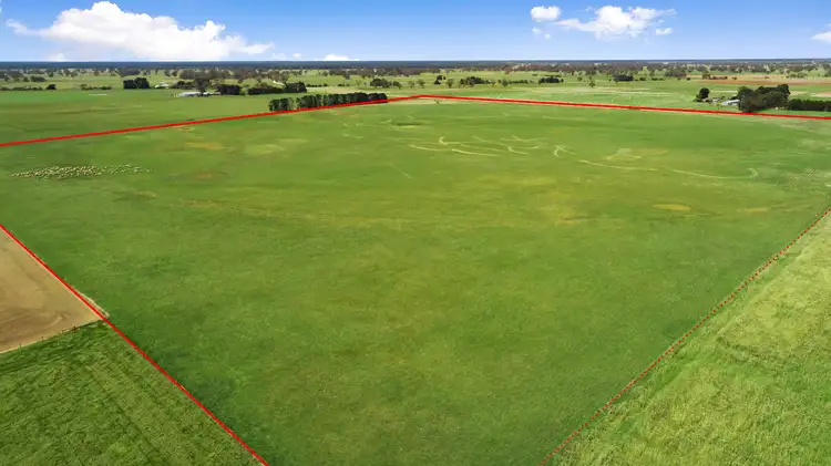 Third view of Homely rural property listing, Lot 444 Old Kalangadoo Road, Kalangadoo SA 5278