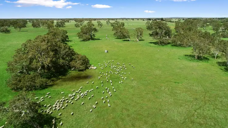 Seventh view of Homely rural property listing, 30 Land Rd, Kalangadoo SA 5278