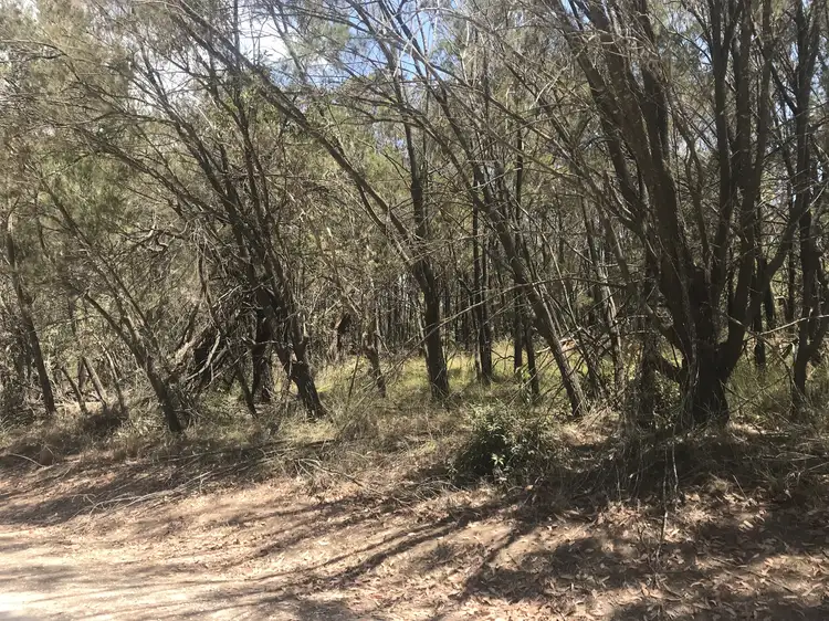 17 Cathy St, Macleay Island QLD 4184
