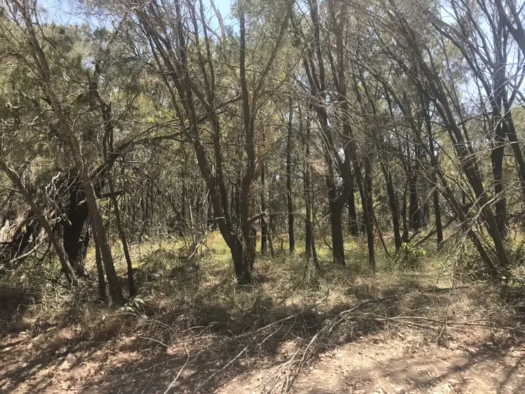 Second view of Homely land listing, 17 Cathy St, Macleay Island QLD 4184