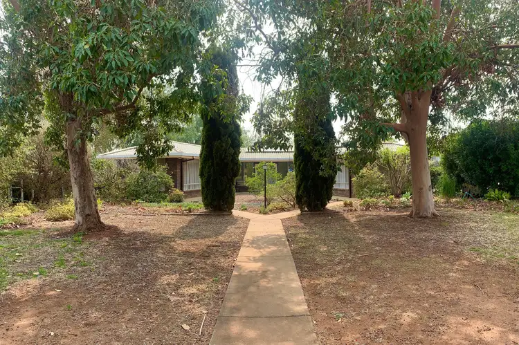 40 Bridge St, Gunnedah NSW 2380