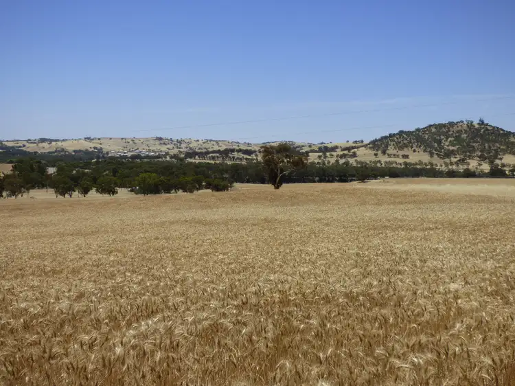 Lot 89 Toodyay Road, Toodyay WA 6566
