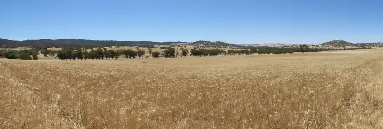 Second view of Homely land listing, Lot 89 Toodyay Road, Toodyay WA 6566