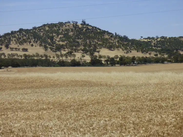 Fourth view of Homely land listing, Lot 89 Toodyay Road, Toodyay WA 6566