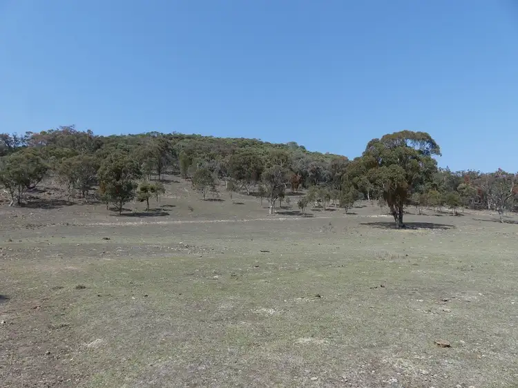 Main view of Homely land listing, Saxby Road, Ballandean QLD 4382