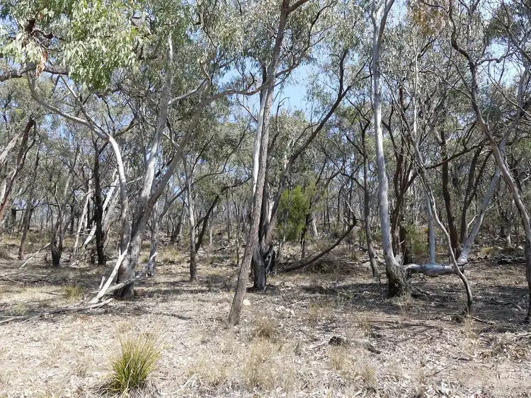 Second view of Homely land listing, Saxby Road, Ballandean QLD 4382