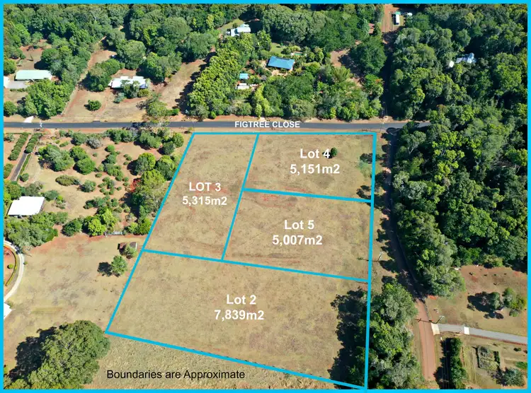 Seventh view of Homely land listing, Lot 3 Figtree Close, Malanda QLD 4885