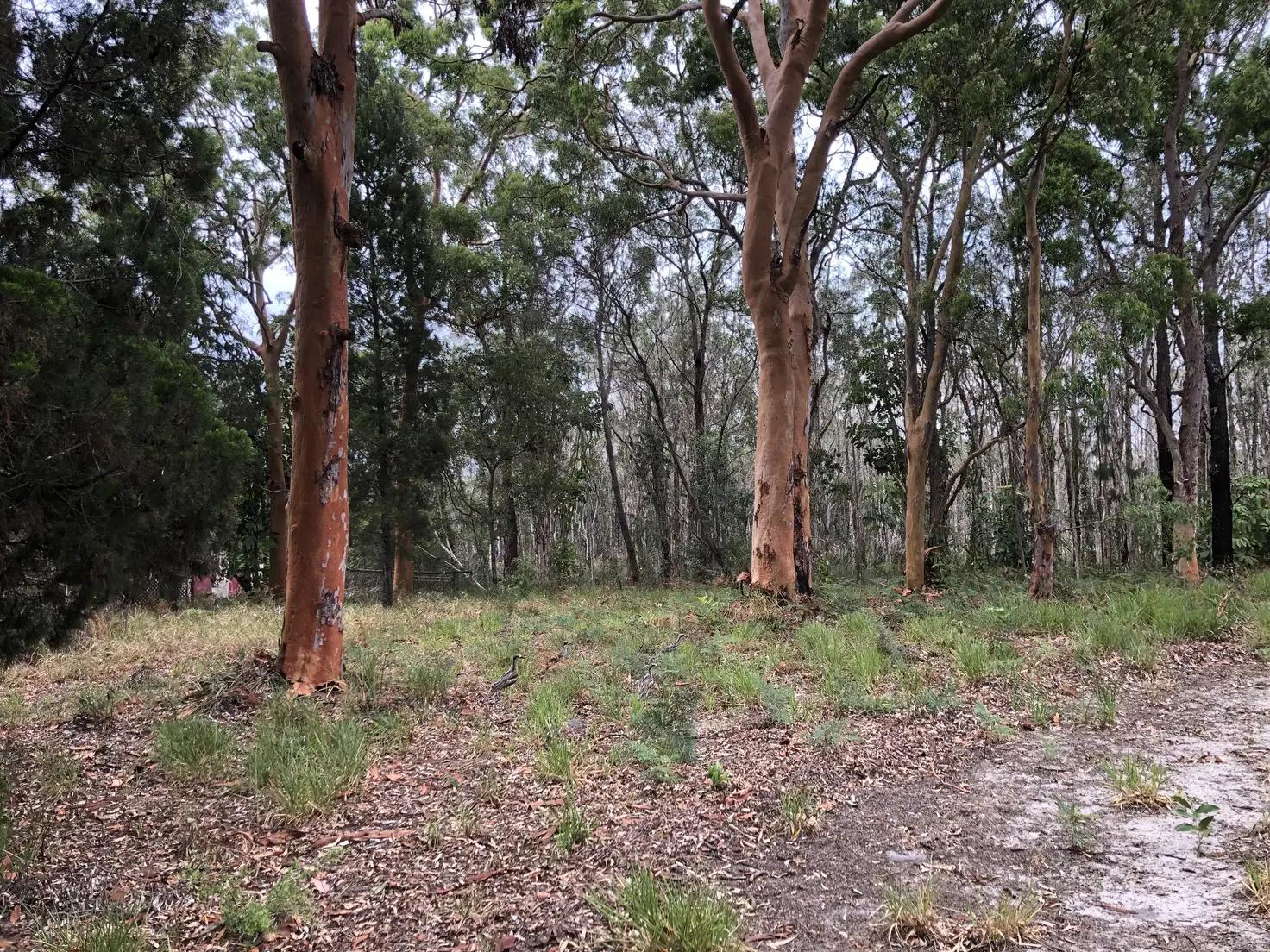 Main view of Homely land listing, 35 Alexander St, Macleay Island QLD 4184