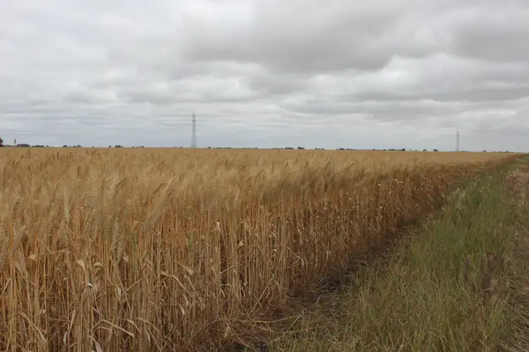 Second view of Homely rural property listing, Lot 1 Obournes Lane, Bool Lagoon SA 5271