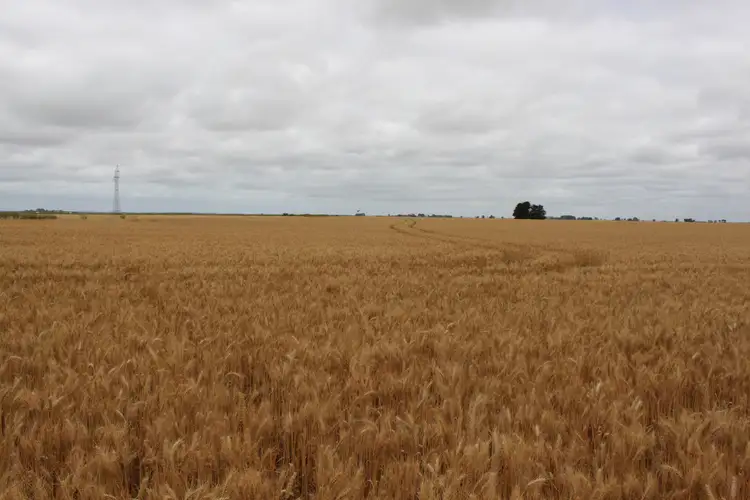 Sixth view of Homely rural property listing, Lot 1 Obournes Lane, Bool Lagoon SA 5271