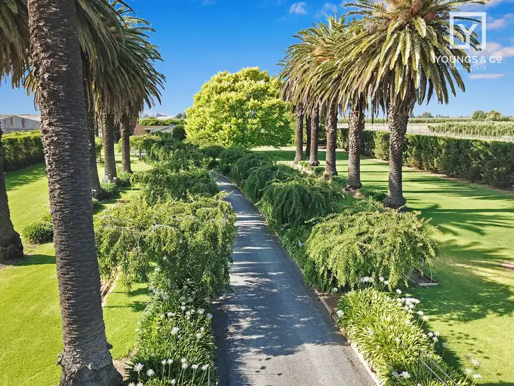 Third view of Homely house listing, 85 Lenne Rd, Ardmona VIC 3629