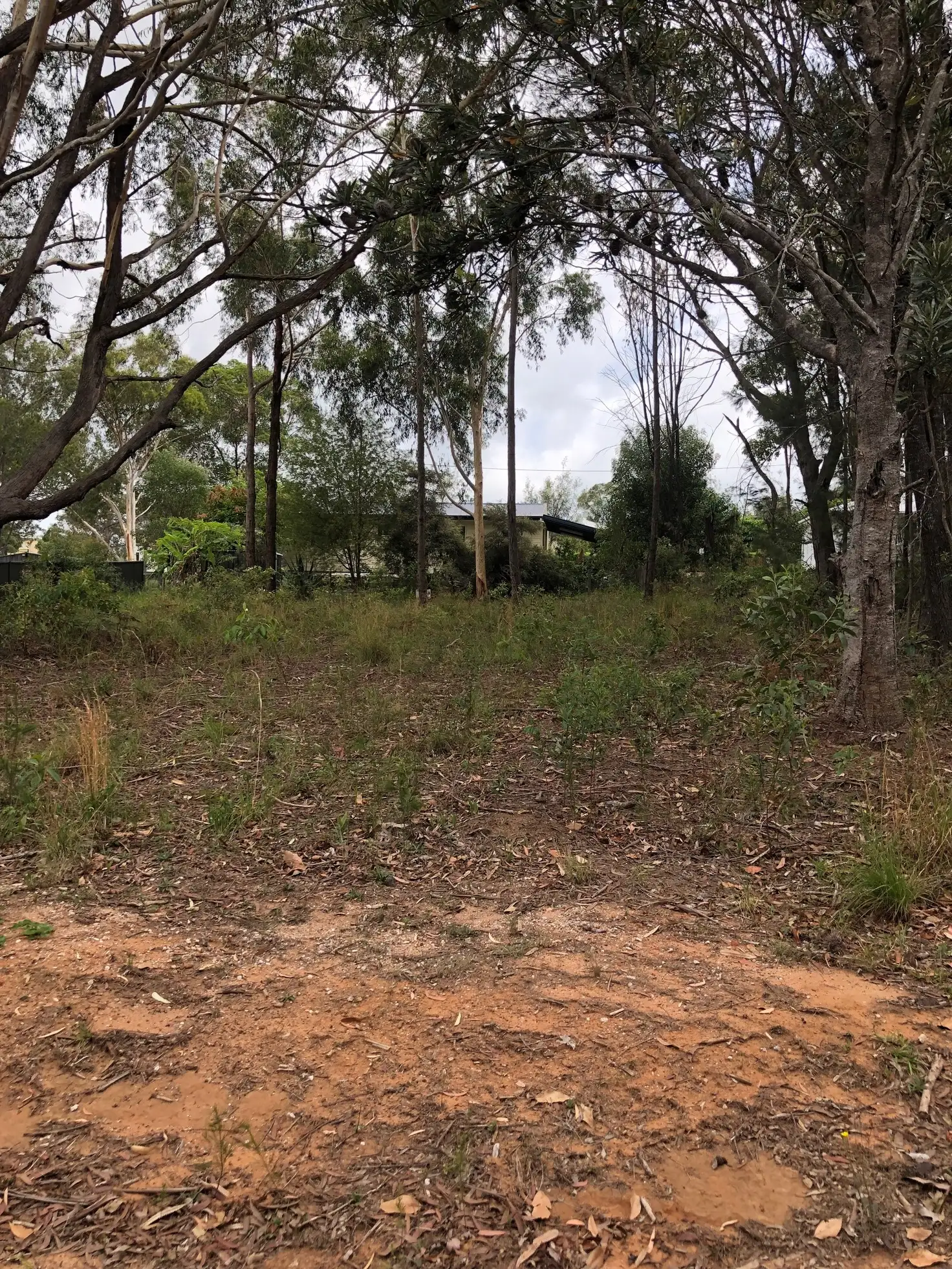 Main view of Homely land listing, 3 Coleus St, Russell Island QLD 4184