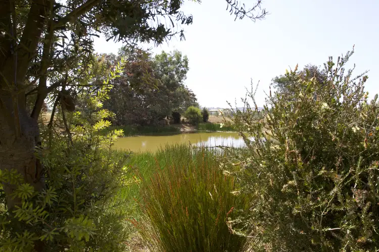 Lot 1 - 270 Ritchie Street, Westbury TAS 7303
