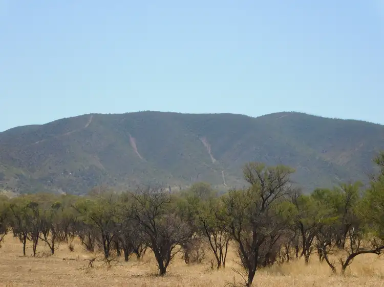 Lot 155 Gulf View Road, Napperby SA 5540