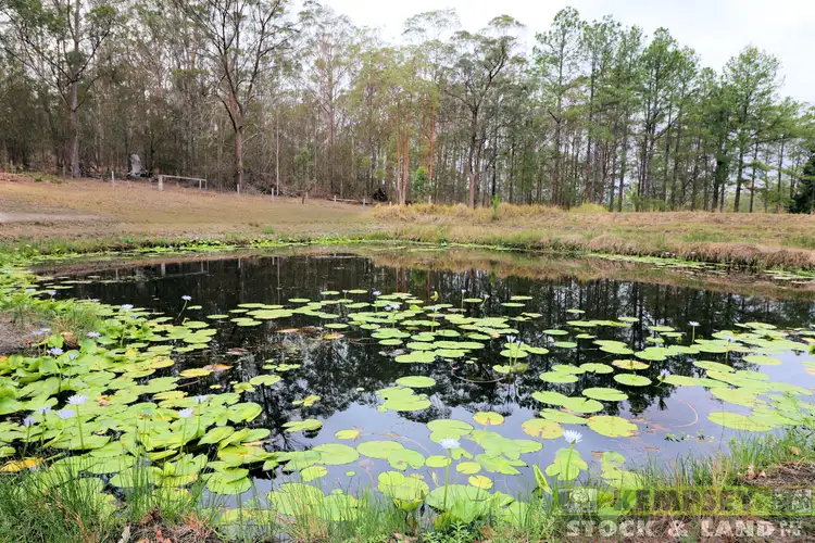 Second view of Homely rural property listing, 141 Link Road, Yarravel NSW 2440