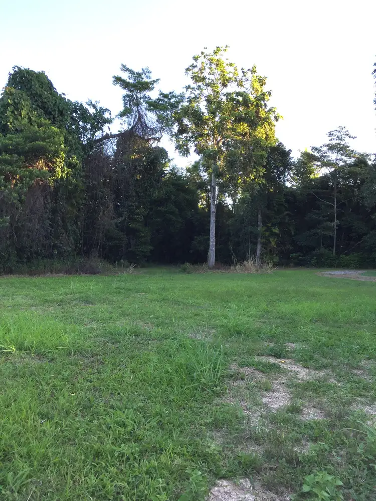 Fifth view of Homely rural property listing, LOT 3 Mt Coom Rd, Lower Tully QLD 4854