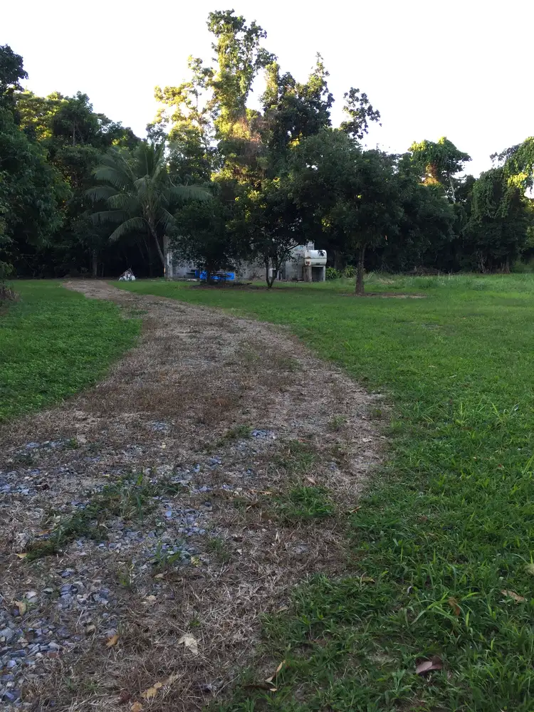 Seventh view of Homely rural property listing, LOT 3 Mt Coom Rd, Lower Tully QLD 4854