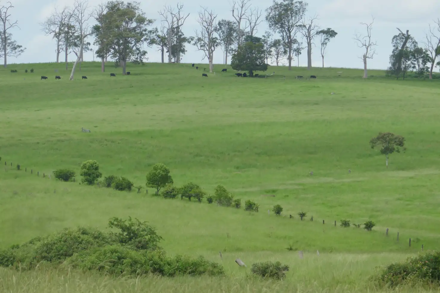 Main view of Homely rural property listing, 284 Upper Stratheden Rd, Kyogle NSW 2474