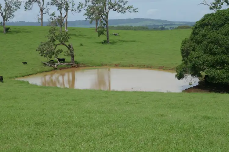 Second view of Homely rural property listing, 284 Upper Stratheden Rd, Kyogle NSW 2474