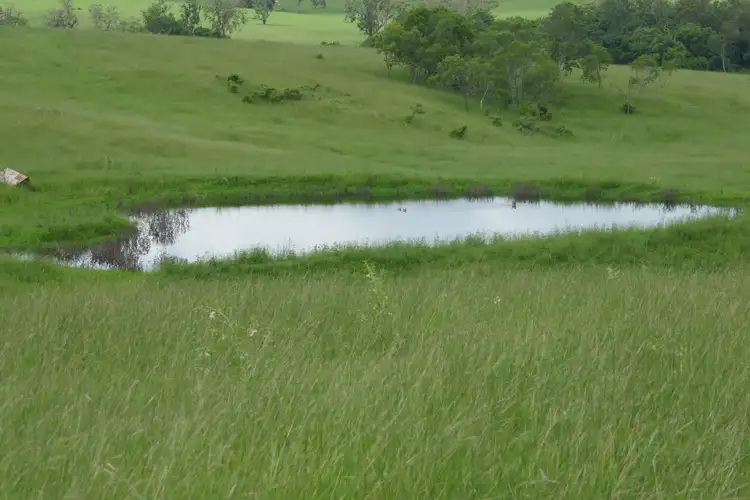 Third view of Homely rural property listing, 284 Upper Stratheden Rd, Kyogle NSW 2474