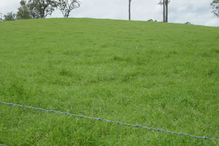 Fourth view of Homely rural property listing, 284 Upper Stratheden Rd, Kyogle NSW 2474