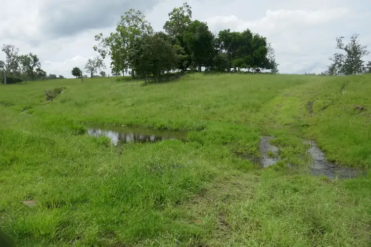 Sixth view of Homely rural property listing, 284 Upper Stratheden Rd, Kyogle NSW 2474