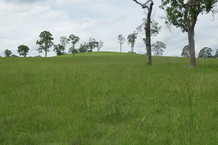 Seventh view of Homely rural property listing, 284 Upper Stratheden Rd, Kyogle NSW 2474