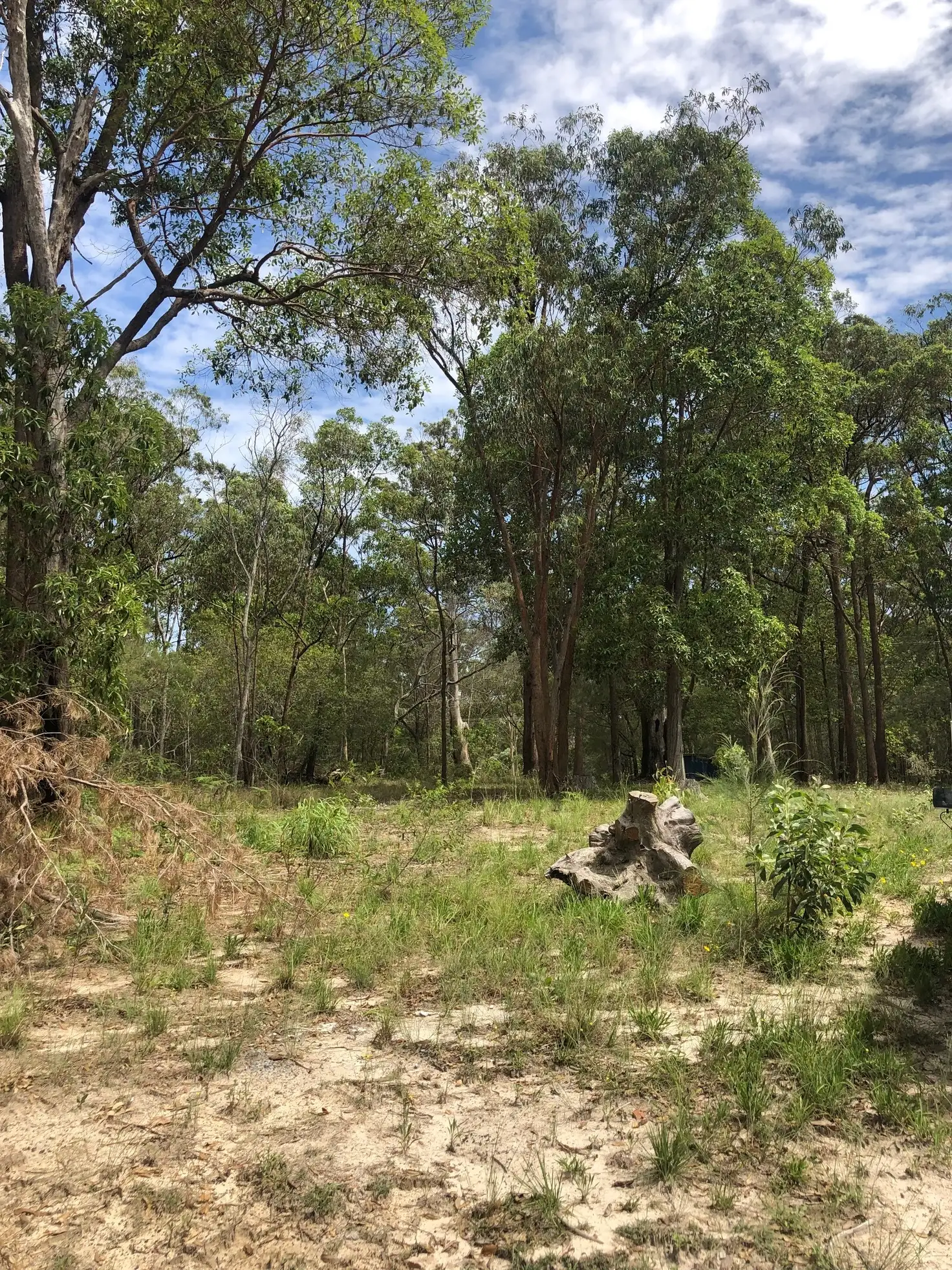 Main view of Homely land listing, 24 Cook Ave, Russell Island QLD 4184