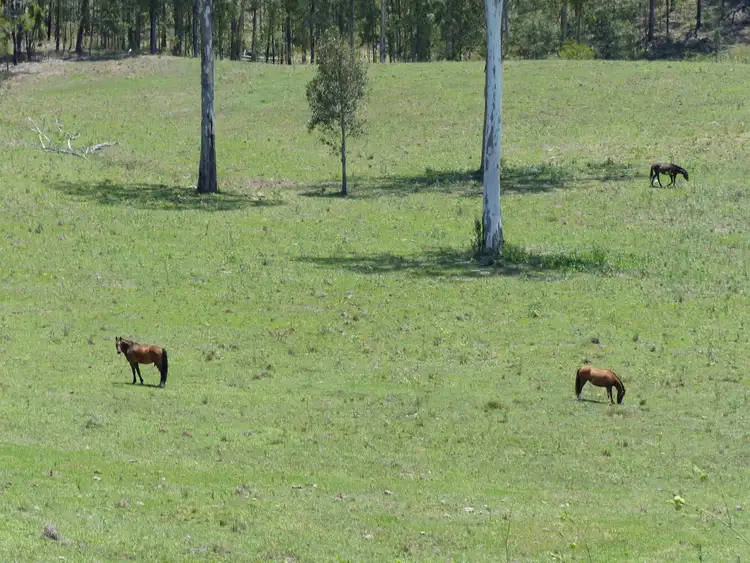 Seventh view of Homely rural property listing, Address available on request
