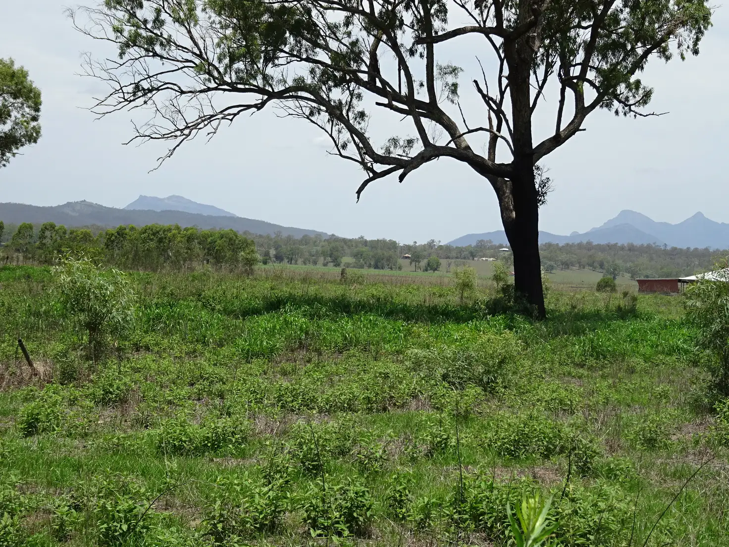 Main view of Homely land listing, Address available on request