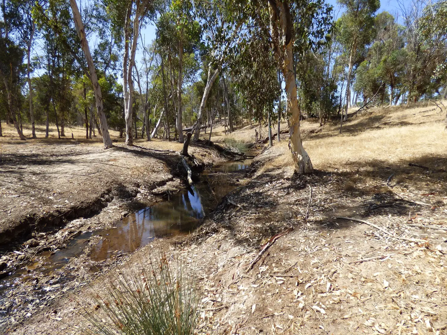 Main view of Homely house listing, 984 Chitty Rd, Toodyay WA 6566