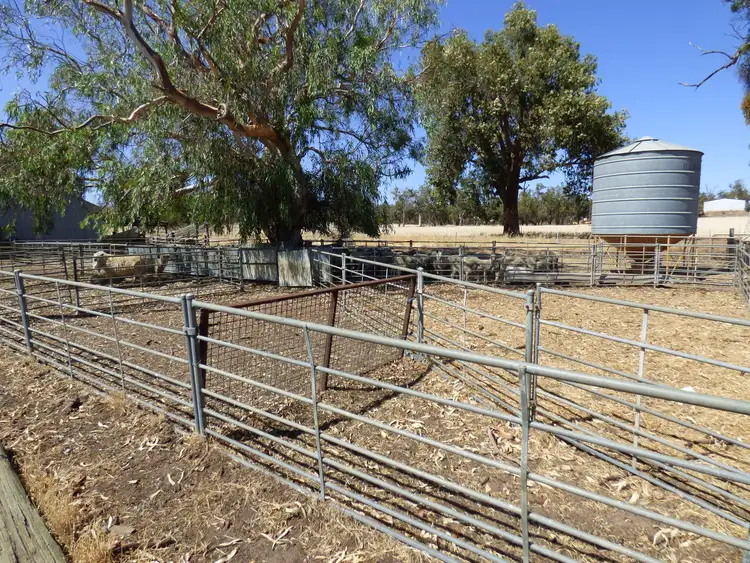Second view of Homely house listing, 984 Chitty Rd, Toodyay WA 6566