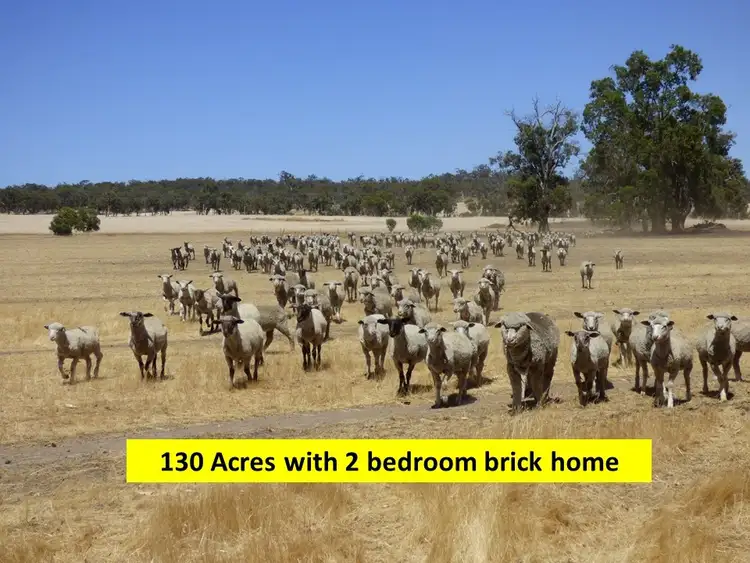 Fourth view of Homely house listing, 984 Chitty Rd, Toodyay WA 6566