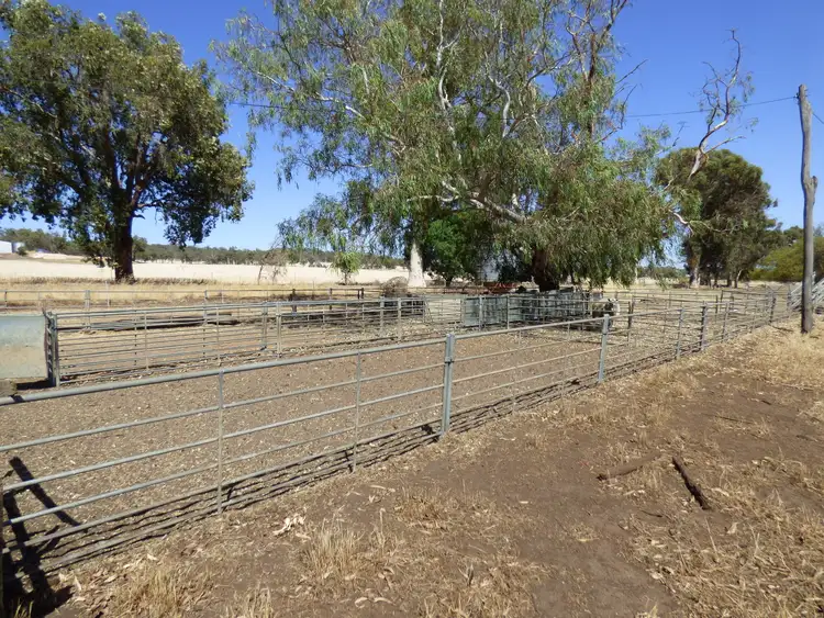 Sixth view of Homely house listing, 984 Chitty Rd, Toodyay WA 6566