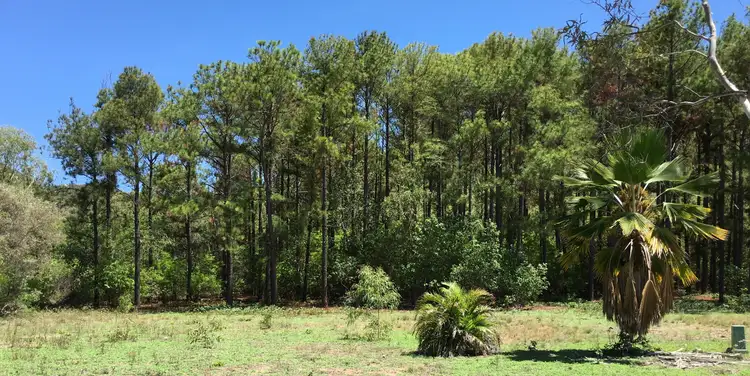 Main view of Homely land listing, 16 Wallaby Way, Horseshoe Bay QLD 4819