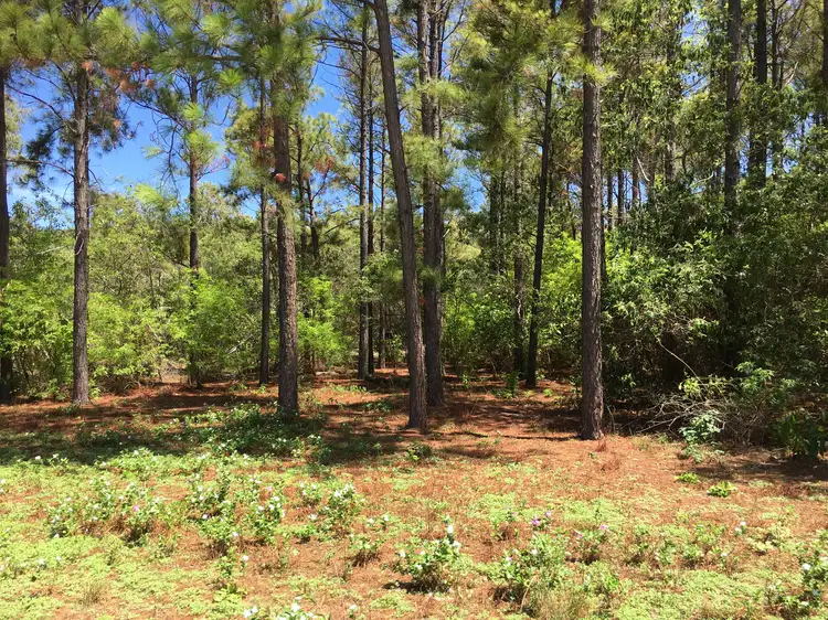 Second view of Homely land listing, 16 Wallaby Way, Horseshoe Bay QLD 4819