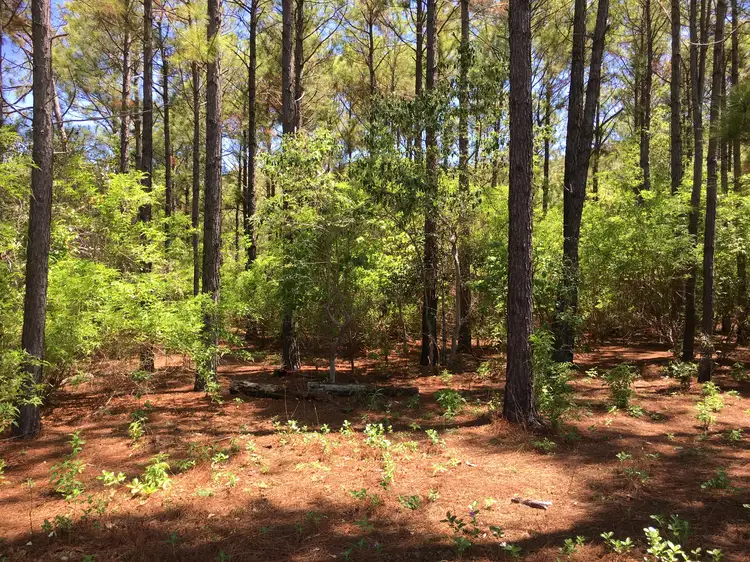 Third view of Homely land listing, 16 Wallaby Way, Horseshoe Bay QLD 4819