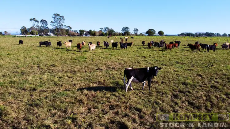 Seventh view of Homely rural property listing, Lot 1 South West Rocks Road, Austral Eden NSW 2440