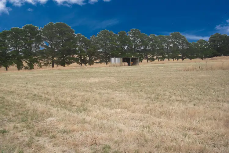 Sixth view of Homely rural property listing, 56 Horneman Rd, Gisborne South VIC 3437