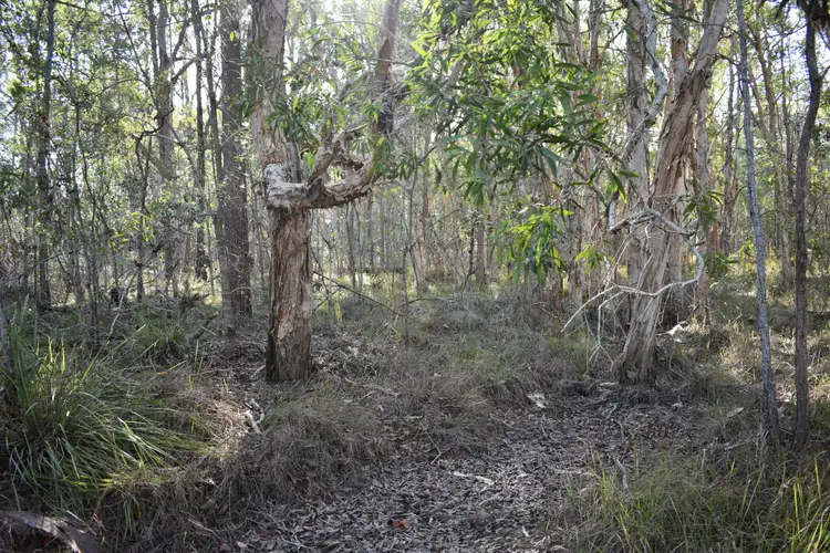 Sixth view of Homely rural property listing, Lot 1 Biggenden  Connection Rd, Dunmora QLD 4650