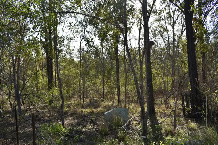 Seventh view of Homely rural property listing, Lot 1 Biggenden  Connection Rd, Dunmora QLD 4650
