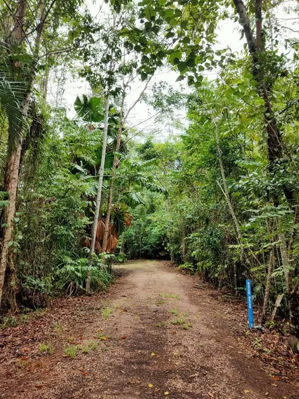 Fifth view of Homely land listing, 5 Mission Cir, Wongaling Beach QLD 4852